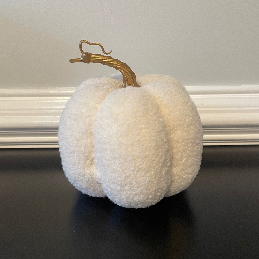 5 for $20: Target sherpa pumpkin